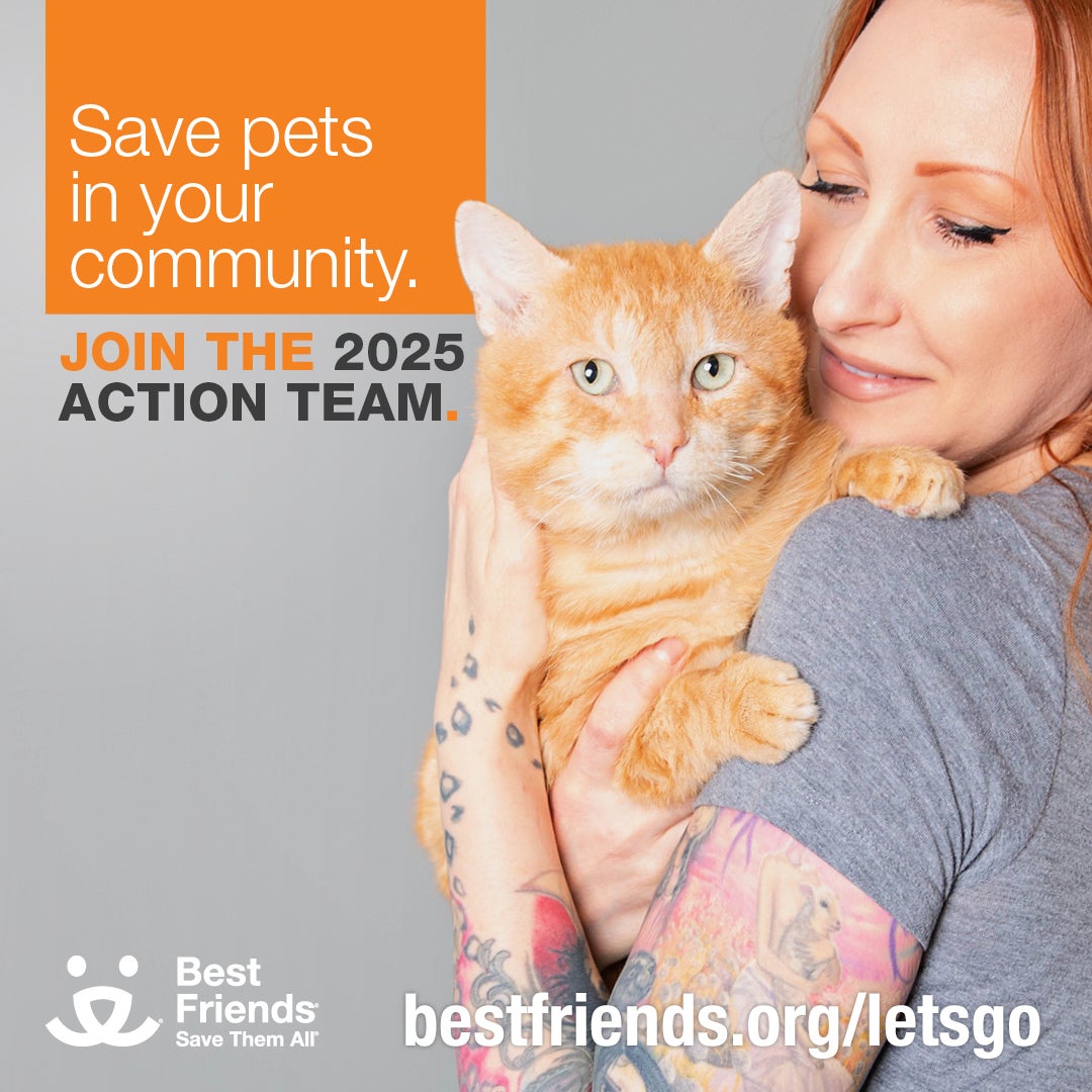 Join the 2025 Action Team woman with cat